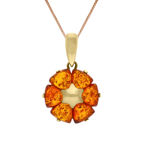 9ct Yellow Gold Amber Flower Pendant Necklace D P1431 