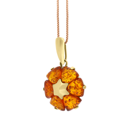 9ct Yellow Gold Amber Flower Pendant Necklace D