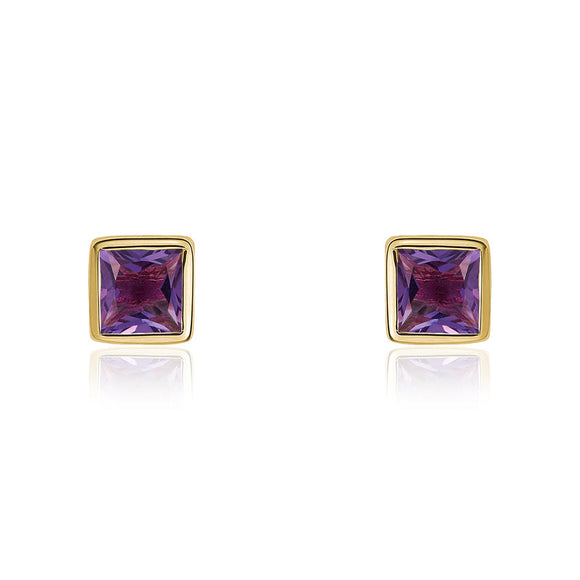 9ct Yellow Gold Amethyst Princess Cut 3mm Stud Earrings. 03-20-157.