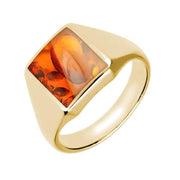 9ct Yellow Gold Amber Oblong Signet Ring R181