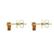  9ct Yellow Gold Amber Round Stud Earrings E2487